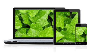 Desktop, Laptop, and Mobile devices.